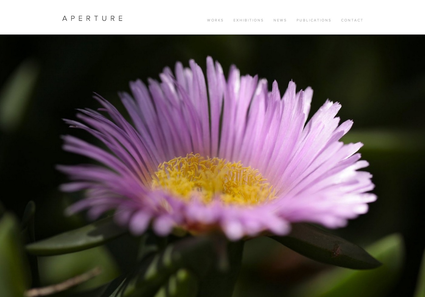 Aperture